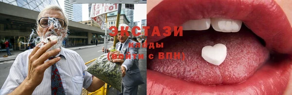 spice Богородицк