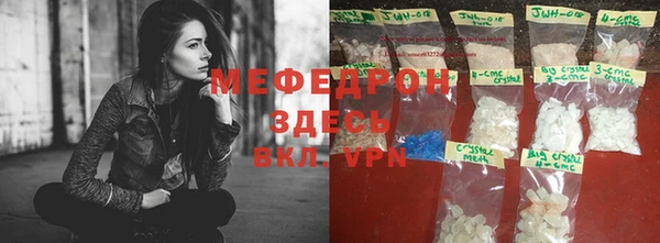 spice Богородицк