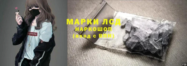 spice Богородицк
