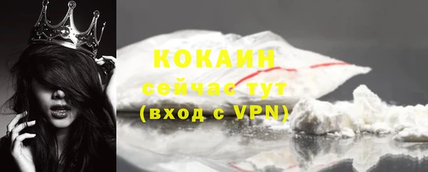 spice Богородицк