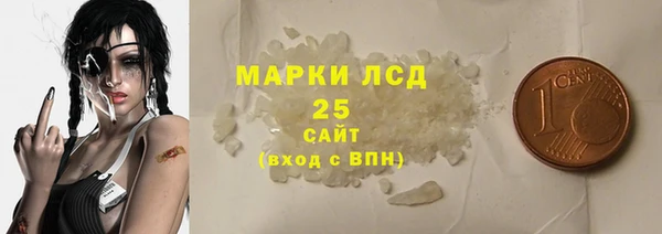 spice Богородицк