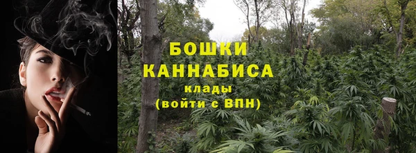 spice Богородицк