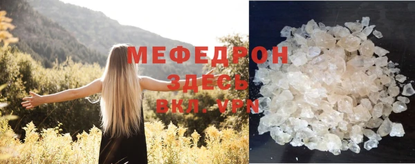 spice Богородицк