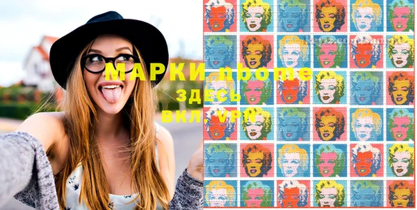 spice Богородицк