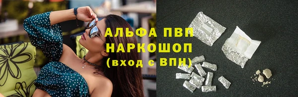 spice Богородицк